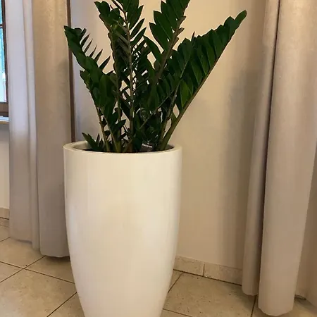 Palac Jablonowo Nocleg ze śniadaniem 3*