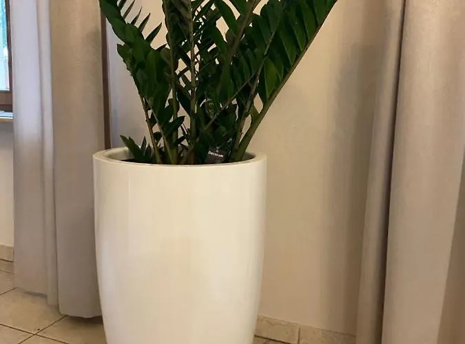 Palac Jablonowo Bed and Breakfast 3*