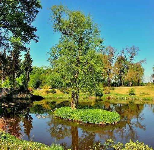 Bed and Breakfast Palac Jablonowo